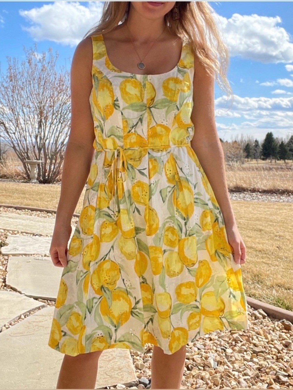 Pappagallo Lemon Print Summer Dress Size 18 Sleeveless Eyelet Embroidered New